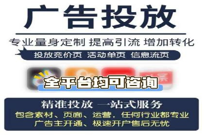某企业SEM广告投放的转化率提升秘诀